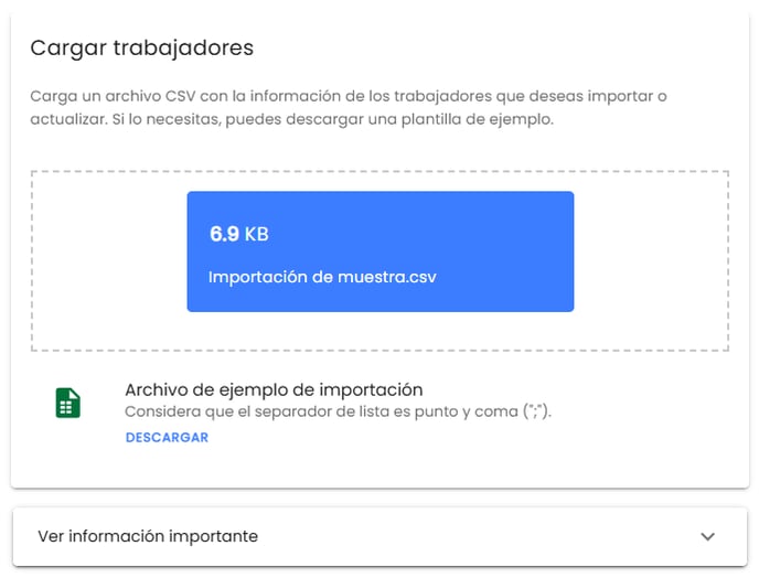Workera-ActualizaciónMasiva-Pantalla-Archivo-Cargado