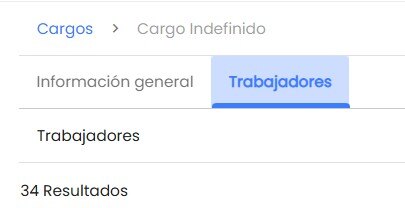 Workera-Compañía-Cargo-Pestañas