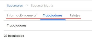 Workera-Compañía-Sucursal-Pestañas