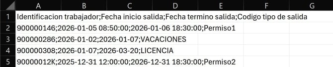 Workera-Permisos-CargaMasiva-Visualizar-CSV
