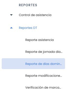 Workera-Reportes-ReportesDT-Reporte-Día-Domingo