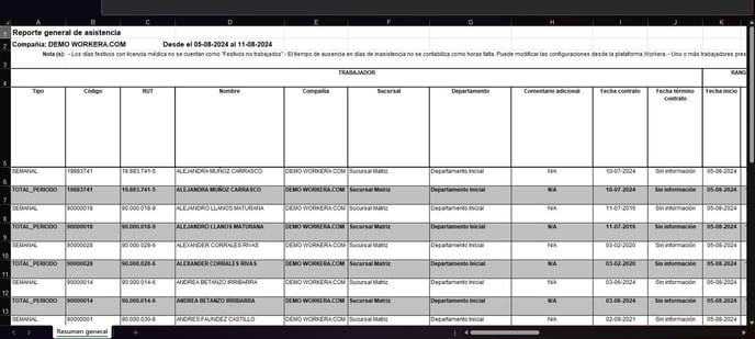 Workera-Reportes-Resumen-Excel