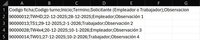 Workera-Turnos-CargaMasiva-Archivo-Visualización
